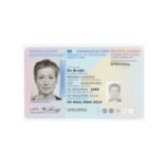Buy Fake ID